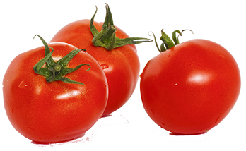 Tomato